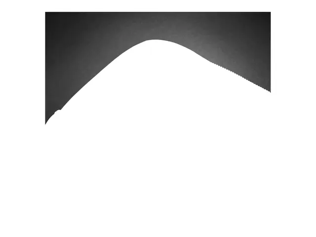 HP Renew Business - Skulderbæreveske for notebook 15.6"