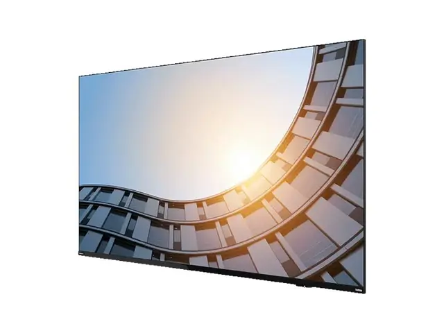 Lenovo ThinkVision E65 LFD - 65" Diagonalklasse (64.5" synlig) LED...