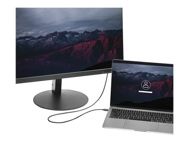 StarTech.com 3ft/1m USB C to DisplayPort 1.2 Cable 4K 60Hz, USB-C ...