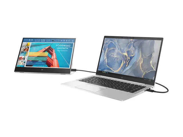 HP E14 G4 Portable - LED-skjerm 14" portabel 1920 x 1080 Full HD (...