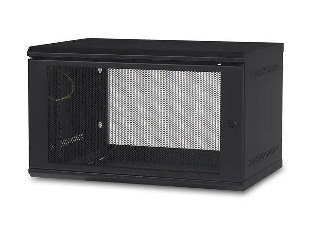 APC NetShelter WX AR106 - Skap - veggmonterbar - svart - 6U - 19"