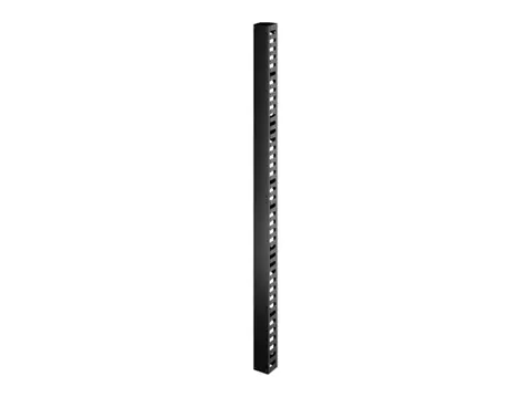 APC Easy Rack - Rackkabelorganisator (vertikal) svart - 42U