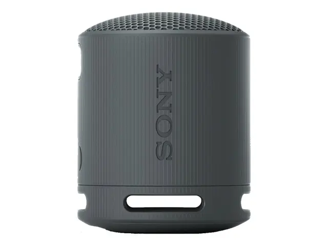 Sony SRS-XB100 - Høyttaler for bærbar bruk trådløs Bluetooth Appst...