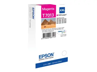 Epson T7013 - 34.2 ml - XXL-størrelse - magenta original - blister - blekkpatron - for WorkForce Pro WP-4015 DN, WP-4095 DN, WP-4515 DN, WP-4525 DNF, WP-4595 DNF