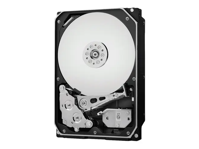 WD Gold Datacenter Hard Drive WD2005FBYZ - Harddisk - 2 TB - inter...