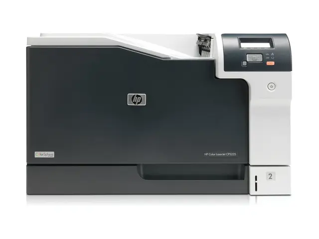 HP Color LaserJet Professional CP5225n - Skriver - farge - laser -...