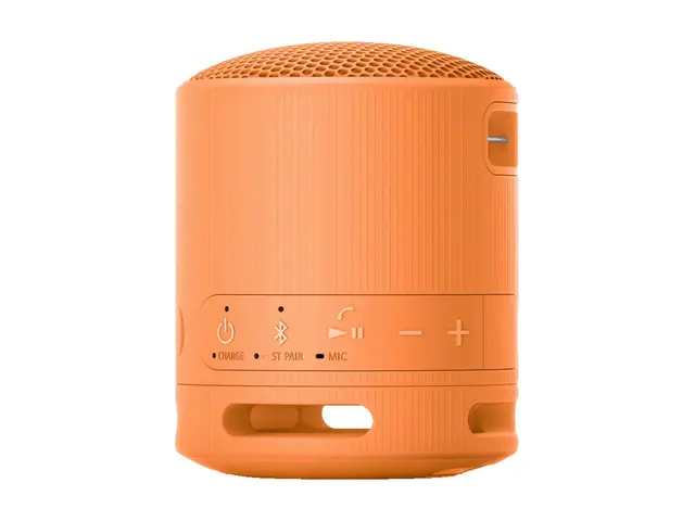 Sony SRS-XB100 - Høyttaler for bærbar bruk trådløs Bluetooth Appst...