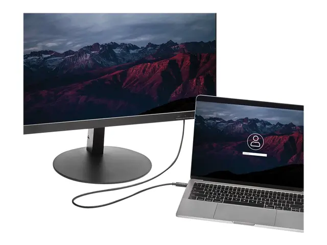 StarTech.com USB-C to DVI Cable - 6 ft / 2m 1080p 1920x1200 Monito...