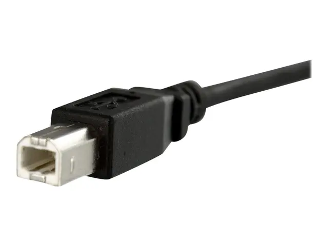 StarTech.com 1 ft Panel Mount USB Cable B to - F/M cable Type (F) ...
