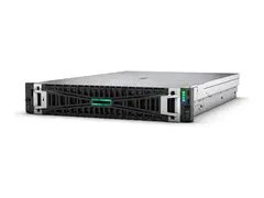 HPE ProLiant DL345 Gen11 - rackmonterbar EPYC 9115 2.6 GHz 64 GB - SSD 2 x 480 GB
