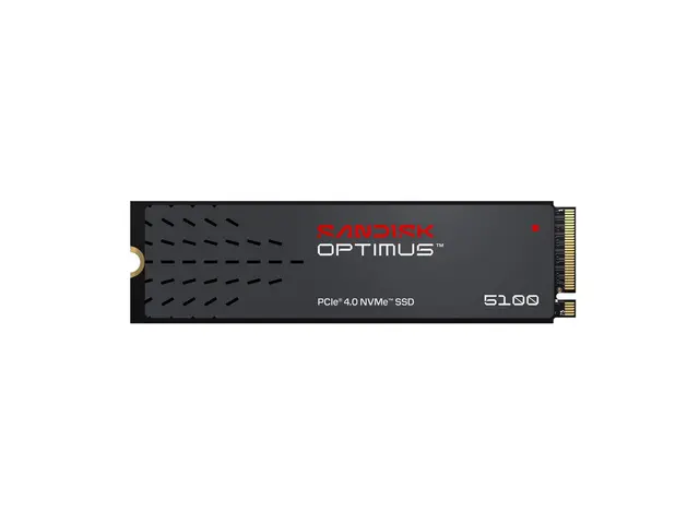 SanDisk Optimus 5100 - SSD 4 TB intern M.2 2280 PCIe 4.0 x4 (NVMe)