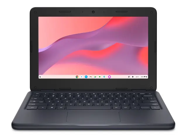 Dell Chromebook 11 CC11260 - 11.6" - Intel N-series N150 - 8 GB RAM - 64 GB eMMC 