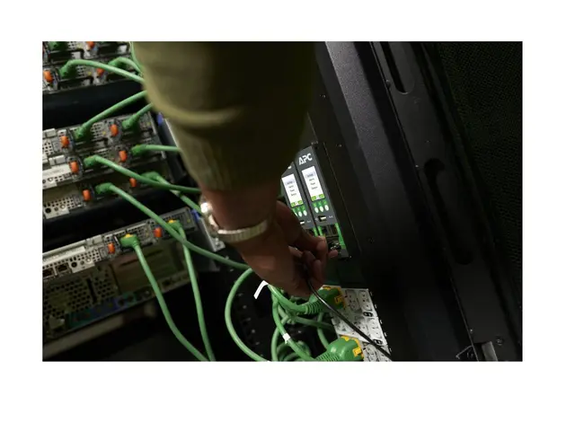 APC NetShelter Rack PDU Advanced - Strømfordelerenhet (kan montere...