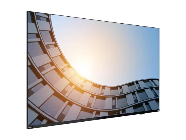 Lenovo ThinkVision E65 LFD - 65" Diagonalklasse (64.5" synlig) LED...