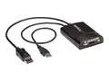 StarTech.com DisplayPort to DVI Adapter - Dual-Link Active DVI-D Adapter for Your Monitor / Display - USB Powered - 2560x1600 (DP2DVID2) - DisplayPort / DVI-adapter - 37 cm