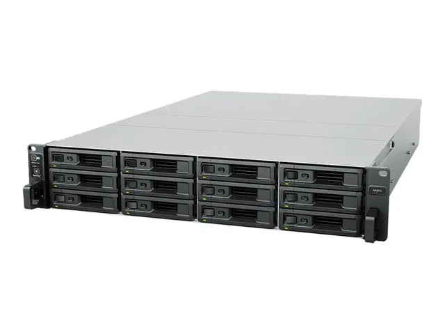 Synology SA3410 - NAS-server 12 brønner kan monteres i rack SATA 6...
