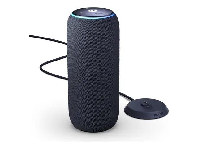 Motorola Moto sound flow - Høyttaler for bærbar bruk trådløs Bluet...