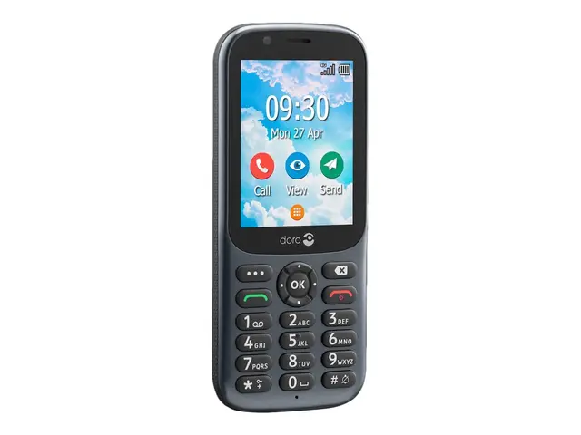 DORO 731X - Grå 1.3 GB