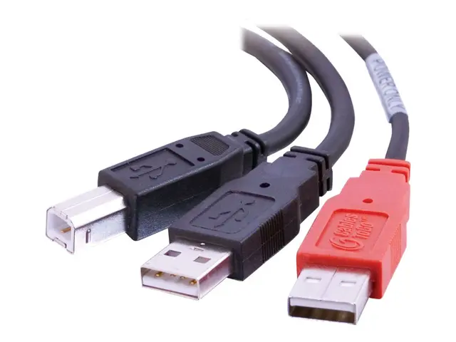 C2G "Y" Cable - USB-kabel - USB-type B (hann) til USB, USB (kun st...