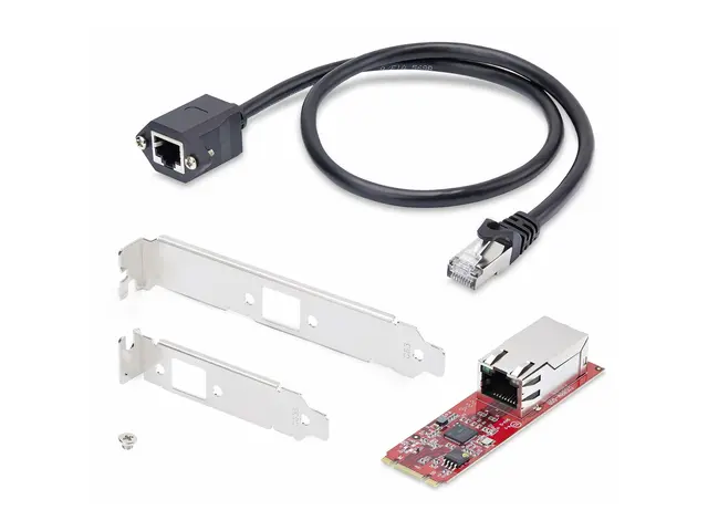 StarTech.com 1-Port 2.5GbE M.2 Network Card, Multi-Gigabit Speeds ...