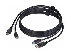 StarTech.com 6ft (1.8m) DisplayPort and USB 5Gbps KVM Cable Tastatur / video / musekabel (KVM) - DisplayPort, USB-type A (hann) til DisplayPort, USB Type B (hann) - 1.8 m - 4K 60Hz st&#248;tte, HDR10-st&#248;tte - svart