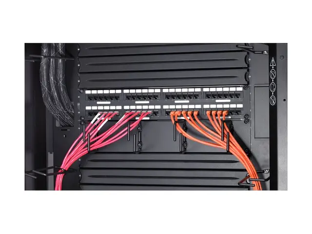 APC Data Distribution Cable - Nettverkskabel - TAA-samsvar - RJ-45...