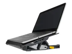Targus Chill Mat - Notebookstativ - med 4-ports USB 2.0-hub svart, gr&#229;