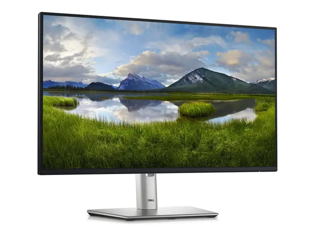 Dell P2425H - LED-skjerm 24" (23.81" synlig) 1920 x 1080 Full HD (...