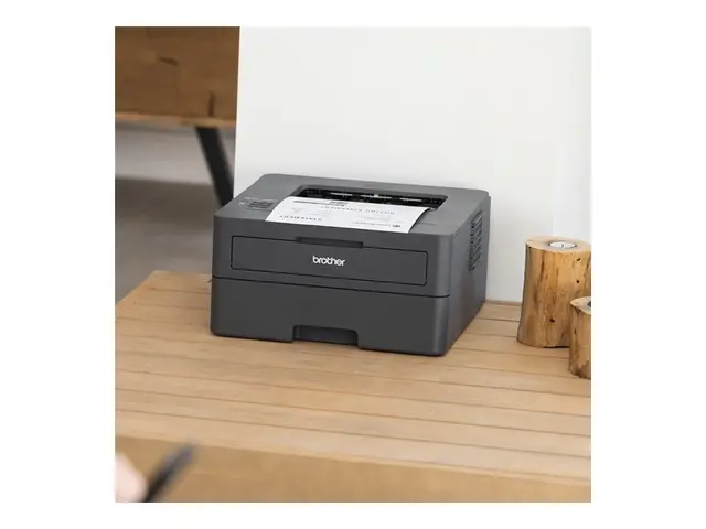 Brother HL-L2400DW - Skriver S/H Dupleks laser A4/Legal 1200 x dpi...