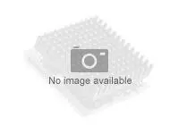 AMD EPYC 7203 - 2.8 GHz - 8-core 16 tr&#229;der - 64 MB cache - for ThinkSystem SR645 7D2X, 7D2Y