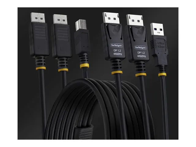StarTech.com 6ft (1.8m) Dual-DisplayPort and USB 5Gbps KVM Cable -...