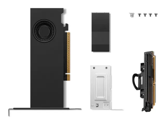 NVIDIA - Grafikkort RTX PRO 2000 Blackwell 16 GB GDDR7 PCIe 5.0 x8...