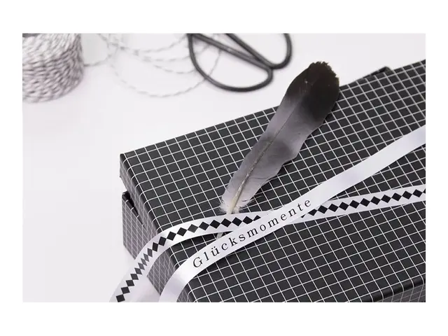 Brother TZe-R231 - Svart på hvitt Rull (1,2 cm x 4 m) 1 kassett(er...