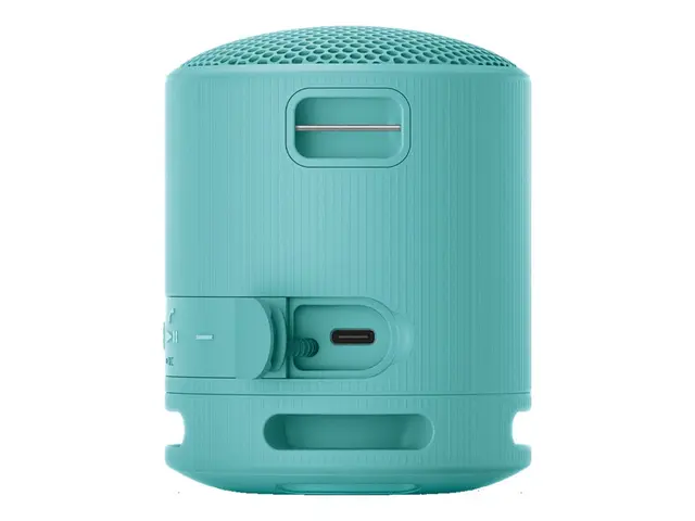 Sony SRS-XB100 - Høyttaler for bærbar bruk trådløs Bluetooth Appst...