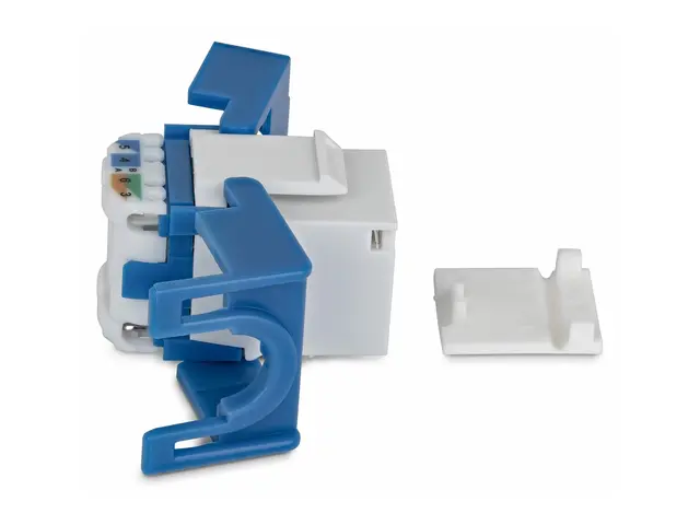 Startech - Trapes-jakk - 180°, toolfree - CAT 6 - UTP - RJ-45 - hv...