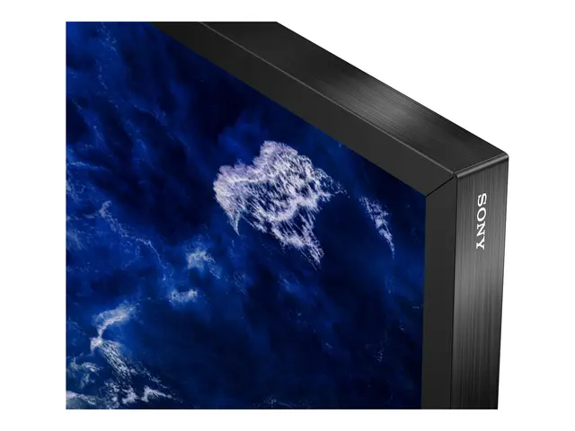 Sony Bravia Professional Displays FW-98BZ53L - 98" Diagonalklasse ...