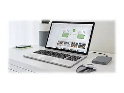 Seagate Basic STJL5000400 - Harddisk - 5 TB - ekstern (bærbar) - U...