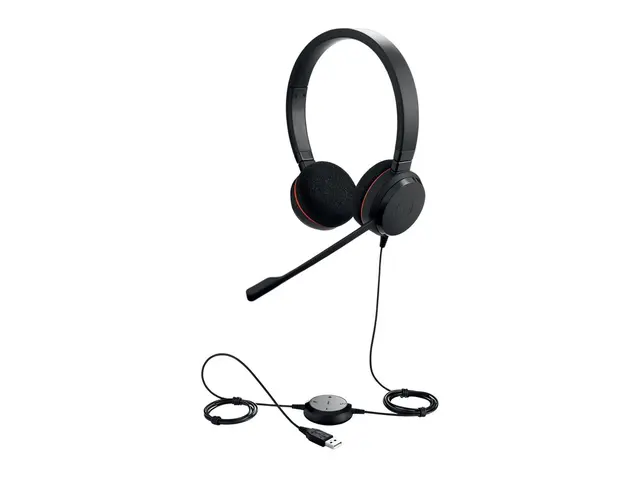 Jabra Evolve 20 MS stereo - Hodesett on-ear kablet USB-C, USB-A ly...