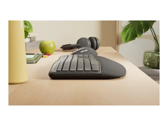 Logitech Signature Comfort Plus Combo MK880 for Business - Tastatu...