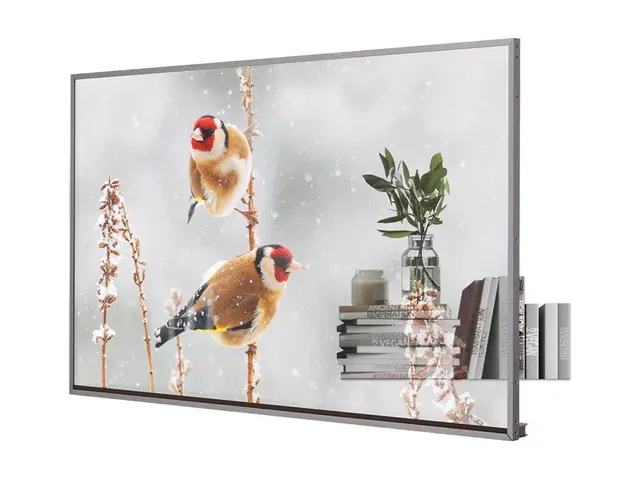 LG 55EW5P-M - 55" Diagonalklasse OLED-display intelligent skilting...