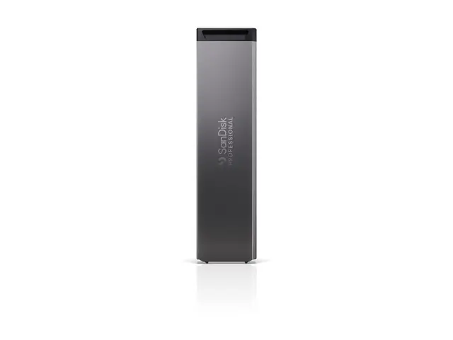 SanDisk Professional PRO-BLADE SSD Mag - 4 TB ekstern (bærbar)