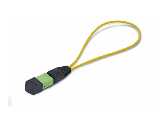 Startech - Loopbackadapter TAA-samsvar MPO-12 enkeltmodus (hann) f...