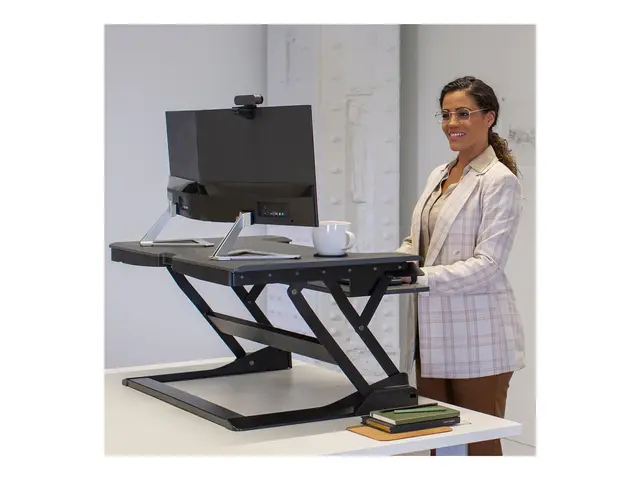 Ergotron WorkFit-TL - Stående skrivebordomformer - grå - svart sokkel