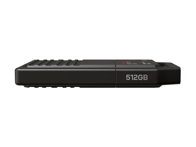 SanDisk Optimus GX C50 - SSD - 512 GB - ekstern (bærbar) - XBOX St...
