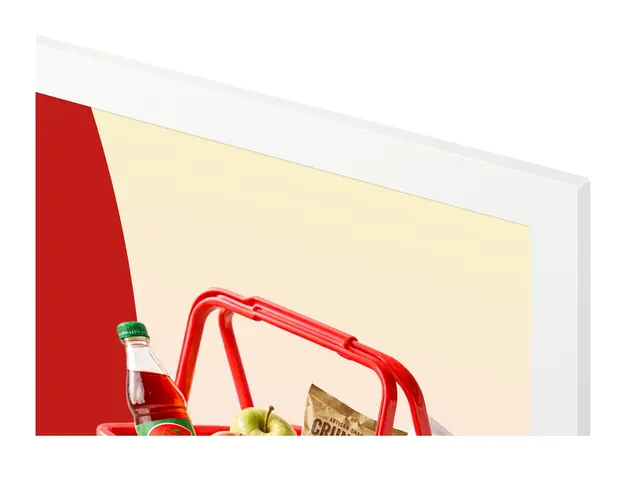 Samsung EM13DX - 13" Diagonalklasse (13.3" synlig) EMDX series e-P...