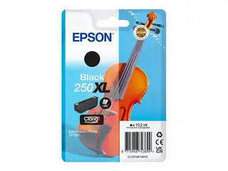 Epson 250XL - 10.2 ml - XL - svart - original blister - blekkpatron - for P/N: C11CL95402