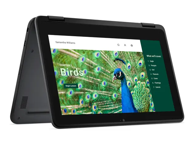 Dell Chromebook 3120 (2024) - 11.6" Intel N-series N100 8 GB RAM 6...