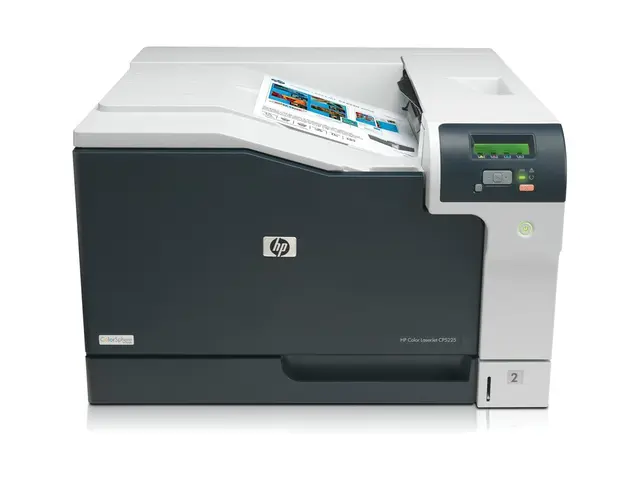 HP Color LaserJet Professional CP5225n - Skriver - farge - laser -...