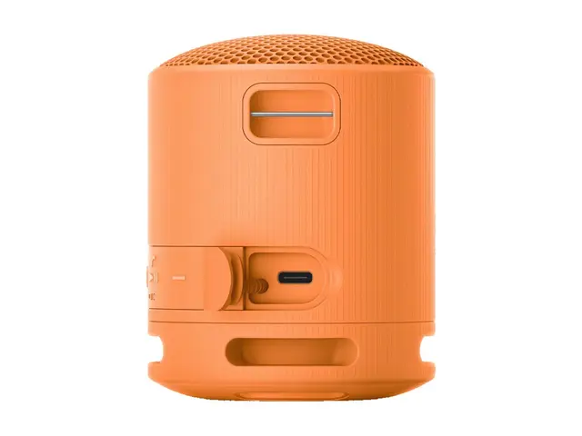 Sony SRS-XB100 - Høyttaler for bærbar bruk trådløs Bluetooth Appst...