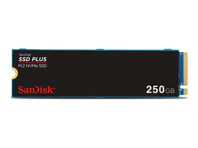 SanDisk SSD PLUS - SSD - 250 GB - intern - M.2 2280 - PCIe 3.0 (NVMe)